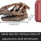 Fish Hideout Aquarium Décor Decorations Dinosaur Skull Fish Tank Decor Cave Dinosaur Skull Betta Animal Halloween Large Tarantula Reptile Bones Snake for Terrarium Ornament