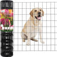 Black PVC Coated Welded Wire Fence 24 Inch x 25 Foot, 2 Inch x 3 Inch 16GA, Garden Border Fencing Roll Vinyl Coating Metal Wire Mesh for Yard Vegetable Plant Protection Poultry Netting