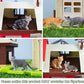 Toymany 8PCS Grey & Orange Cat Figurines Set, Realistic Cat Figures Kitten Toys, Cat Cake Toppers Easter Eggs Birthday Gift for Kids Children
