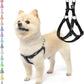 PUPTECK No Pull Dog Harness Soft Adjustable Basic Nylon Step in Puppy Vest Outdoor Walking with ID Tag