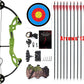 Compound Bow Archery for Youth and Beginner, Right Handed,19”-28” Draw Length,15-29 Lbs Draw Weight, 260 fps