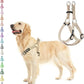 PUPTECK No Pull Dog Harness Soft Adjustable Basic Nylon Step in Puppy Vest Outdoor Walking with ID Tag Cream