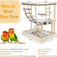 Hamiledyi Bird Playground Parrots Wood Perch Stand Cockatiel Playground Bird Play Gym Colours Climb Ladders Swing Chewing Toys with Parakeet Feeding Cups Exercise Activity Center for Lovebirds Conure