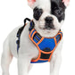 rabbitgoo Dog Harness No Pull with 2 Leash Clips, Adjustable Soft Padded, Reflective Oxford No Choke Pet Vest with Easy Control Handle for Small Dogs, Blue & Orange, S