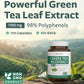 EGCG Green Tea Extract Capsules - Super High Potency Green Tea Pills Antioxidant Rich Formula Packed with Polyphenols Catechins & EGCG - 500mg Per Capsule - Non-GMO & Made in the USA (2 Month Supply)