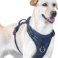 No Pull Dog Harness, Reflective Puppy Vest for Small Medium Large Sized Dog(Prussian Blue,M)