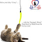 Pet Fit For Life Cat Wand Toy: 5-Piece Worm Teaser & Exerciser - Durable Flirt Pole/Cat Teaser Toy – Interactive Fun for Feline Fitness