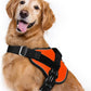 rabbitgoo Dog Harness for Large, Easy On Pet Vest with One Buckle, No Pull Adjustable Service Harness with D-Ring & Handle, Reflective for Safety Walking, Training, Orange, XL