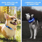 PcEoTllar Light up Dog Collar for Night Walking - LED Dog Collar Light Rechargeable Color Changing, Glow in The Dark Dog Collars Waterproof Glowing Dog Collars for Large Small Medium Dogs