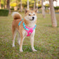 PHOEPET No Pull Dog Harness, Unique Colors Reflective Adjustable Dog Vest, with Soft Training Handle Metal Clips for Small Medium Large Dogs (Pink Base & Green Straps,XS)