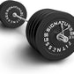 Olympic Bumper Plates Set, 2" Weight Plates for Strength Training & Weightlifting, Paris or Set or Set with Barbell, Multiple Options