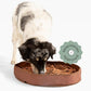 Reggie Stimulating Feeder Mat for Dogs | Relieve Speed Eating, Boredom, Stress | Vet-Approved & Ideal for All Ages, Dog Breeds, and Sizes (Brown Feeder Mat)