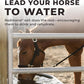 Daily Red Fortified w/Garlic - Horse Vitamin & Mineral Supplement 5 lb Pouch