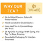BREWIX, Royal Orange Spice Black Tea (25 Pyramid Tea Bags) | Premium Caffeinated Blend with Zesty Orange & Warming Spices | Warming Winter Blend Perfect for the Holidays | Iced Tea Bags | Sugar-Free