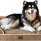 EHEYCIGA Orthopedic XL Dog Beds, Waterproof Memory Foam Dog Bed for Extra Large Dogs, Non-Slip Bottom and Egg-Crate Foam Big Pet Couch Bed with Washable Removable Cover, Camel