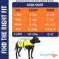 Dog Reflective Vest – Hi-Vis Fluorescent Visibility That Helps to Safeguard Your Pet On/Off Leash in Urban & Rural Areas (Yellow, X-Large)