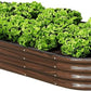 SnugNiture 6x3x1ft Raised Garden Bed Kit, Outdoor Oval Metal Garden Planter, Ground Planter Box for Gardening Vegetables Flowers, Brown