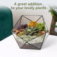 2.5LB Succulent and Cactus Pebbles, 1/5 Inch Jade Pebbles for Indoor Plants, Decorative Gravel for Vases, Bamboo, Succulent, Terrarium, Crafts, Cactus