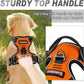 BARKBAY No Pull Dog Harness Front Clip Heavy Duty Reflective Easy Control Handle for Large Dog Walking(Orange,M)
