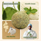 happylain 2 inches Diameter Catnip Ball - Catnip Balls for Cats, Interactive Cat Toy for Indoor Cats, Cat Nip Licking Balls