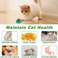 KIMOBER 6 Pack Catnip Ball for Cats,Edible Kitten Chew Toys with Catnip Silvervine Gall Fruit Flavors for Cats Lick Dental Teeth Cleaning Cats Wall Treats