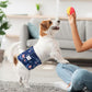 CuteBone Dog Diapers Male Belly Bands 3 Pack for Male Dogs Reusable Puppy Wraps DM66XS