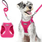 rabbitgoo Dog Harness Small Medium Sized and Leash Set, Step in Soft Light Puppy Vest, Breathable Mesh Pet Harness, Reflective for Safe Easy Walking, Rosa Red XL