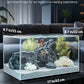 Pawfly 5 Gallon Fish Tank Ultra Clear Rimless Glass Aquarium Kit with Extendable LED Light Internal Filter Magnetic Brush & Thermometer Stickers Rectangular Glass Fish Tank Kit for Betta Shrimp Plants
