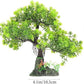POPETPOP Artificial Aquarium Plant Plastic Water Plant Tree Fish Tank Bonsai Ornament Fish Tank Hideout Sushi Plate Decor for Aquarium Terrarium Landscape Green