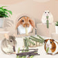 Bissap 60 PCS Rabbit Chew Sticks, Sweet Bamboo Timothy Hay Chew Stick Papaya Stems Apple Branch Bunny Chews for Rabbit Hamster Chinchilla Guinea Pig Small Pet Natural Molar Treats
