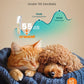 oneisall Quiet Dog Grooming Kit 4 in 1, LED Light Dog Nail Grinder, 2000mAh Pet Grooming Clippers Paw Trimmer for Paw, Nail, Face, Ears, Legs, Body with Storage Bag