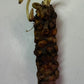 Live Hardy Water Lily Tubers Rhizomes Bulb Seed Nymphaea Aquatic Pond Plants Water Gardens Pre-Grown Flower in White Pink Red Yellow Orange Blue Purple (1, Yellow Hardy Pond Lily)