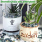 Aquatic Agate Aquarium Gravel Rocks Natural Tumbled Healing Crystal Chips Bulk Gemstones Crushed Stones for Fountain Vase Filler Planters Decorative Fish Tank Potted Reiki Energy Balancing 0.45lb