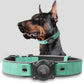 AirTag Dog Collar - Leather Dog Collar with Air Tag Holder | IPX8 Waterproof, Reflective, High - End, Adjustable Soft Padded | Dog GPS Tracker Collars Fit for Medium Large Dogs (Teal, M)