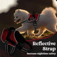 rabbitgoo Dog Harness for Small, Easy On Pet Vest with One Buckle, No Pull Adjustable Service Harness with D-Ring & Handle, Reflective for Safety Walking, Training, Red, S