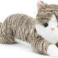 19 inch 3 lbs Cat Weighted Stuffed Animals, Realistic Weighted Cat Stuffed Animal, Sensory Comfort Plush Throw Pillow, Soft Kawaii Stuffed Kitty Plush Toy Gift for Adults Kids Youth