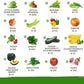 32 Heirloom Vegetable and Fruit Seeds for Planting - 16,000+ Seeds | Non-GMO Survival Seed Vault | High Germination | 32 Varieties of Vegetable Seeds for Your Home Survival Garden