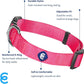 Blueberry Pet Essentials Small Dog Collar in French Pink | Adjustable & Eco-Friendly Durable Nylon Strap | Classic Collar for Small Dogs, Boy & Girl Pets