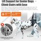Dog Sling for Medium Large Dog Rear Leg, Lift Harness Provide Support with Muscle Atrophy and Joint Problems for Elderly Injured Arthritic Pet, Dog Weak Rear Legs Provides Rehabilitation Aid