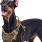 rabbitgoo Dog Harness for Large Dogs No Pull, Tactical Service Pet Vest with Molle and Control Handle, Adjustable and Reflective Military Harness for Easy Walking and Training, Desert camo, XL
