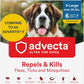 Ultra Flea and Tick Prevention for Dogs - Dog and Puppy Treatment and Control - Mosquito Repellent - XL, Fast Acting Waterproof Topical Drops, 6 Month Supply