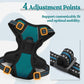rabbitgoo Dog Harness No Pull with 2 Leash Clips, Adjustable Soft Padded, Reflective Oxford No Choke Pet Vest with Easy Control Handle for Puppy, Blue Coral, XS