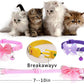 16 PCS Cute Cat Collars Breakaway with Bell for Boy Cats and Girl Cats Gifts (#2-Multicolor Lace)