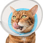 Cat Cone Collar Soft: Comfortable Waterproof Mesh Recovery Cone After Surgery to Stop Licking and Scratch, Alternative to Plastic Elizabeth Head/Neck Cone