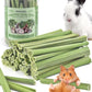 Bissap 50PCS Rabbit Chew Sticks, Natural Papaya Stems Bunny Chews Treats for Rabbits Hamsters Chinchillas Guinea Pigs Small Animals Organic Molar Chewing Snack