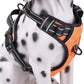 PoyPet No Pull Dog Harness, Reflective Comfortable Vest Harness with Front & Back 2 Leash Attachments and Easy Control Handle Adjustable Soft Padded Pet Vest for Small to Large Dogs (Orange,XS)