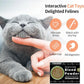 Catnip & Silvervine Powder – 50g Blend of Silvervine Gall Fruit & Catnip, Non-Addictive, for All Cat Ages, Multi-Use with Toys, Scratchers & Protecting Furniture, with 5 Little Pouches