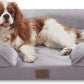 Bedfolks Orthopedic Dog Bed, Waterproof Dog Sofa Bed for Medium Dogs, Egg Foam Pet Couch Bed with Removable Washable Cover and Nonslip Bottom, Light Grey