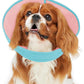 Inspack Soft Dog Cone Collar Alternative, E Cones for Small Dogs/Cat/Puppy to Stop Licking after Surgery, Comfortable All Paws Comfy Elizabethan Collars, Neuter Recovery Ecollars of Shame Alternatives