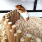 Flexible Wooden Bridge, Hamster Fence & Platforms - 23.6In Accessories
